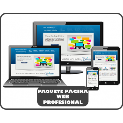 Página Web Profesional