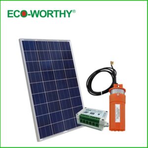 Bomba Solar + Panel Solar Eco-Worthy